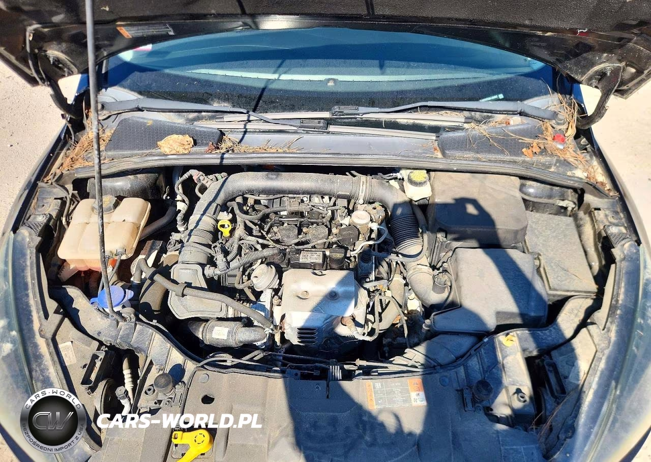 2017 Ford Focus Se VIN:1FADP3FEXHL256597 - 11