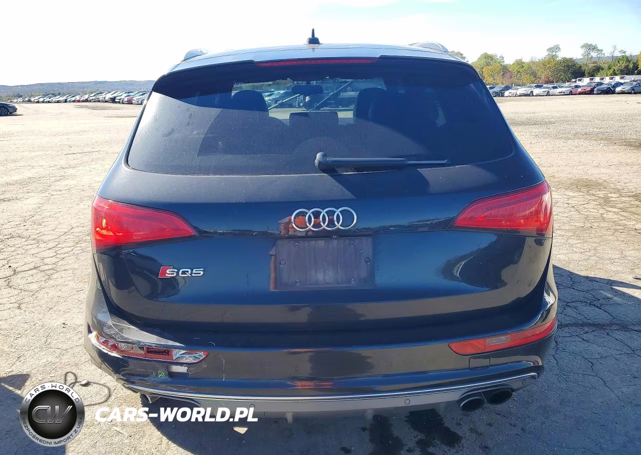 2014 Audi Sq5 Premium Plus VIN:WA1CGAFPXEA062388 - 6