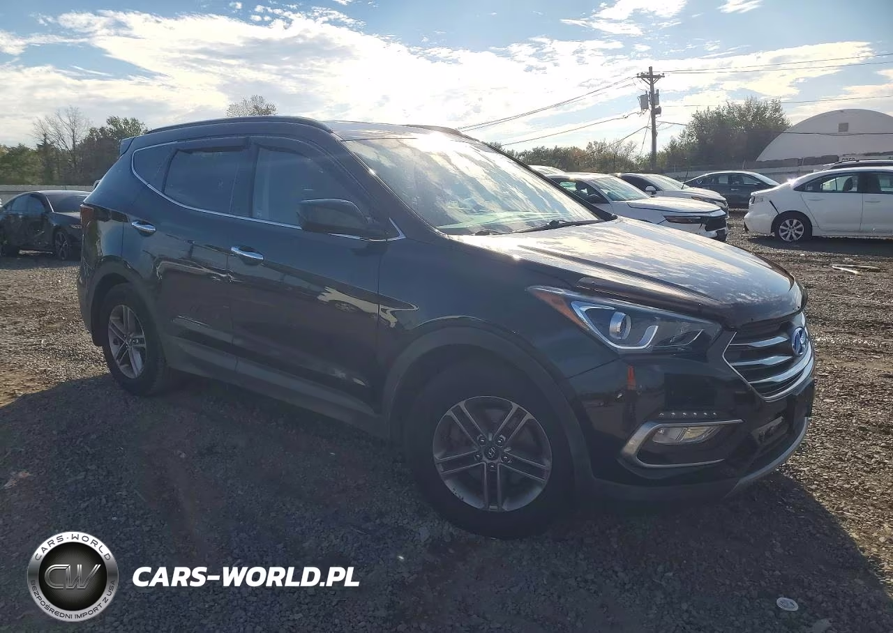 2017 Hyundai Santa Fe Sport 2.4L VIN:5XYZUDLB7HG435264 - 4