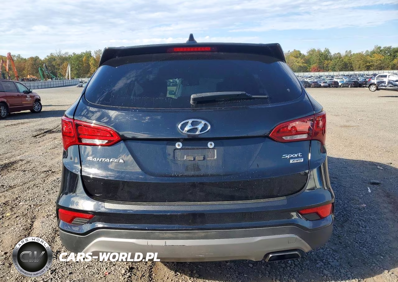 2017 Hyundai Santa Fe Sport 2.4L VIN:5XYZUDLB7HG435264 - 6