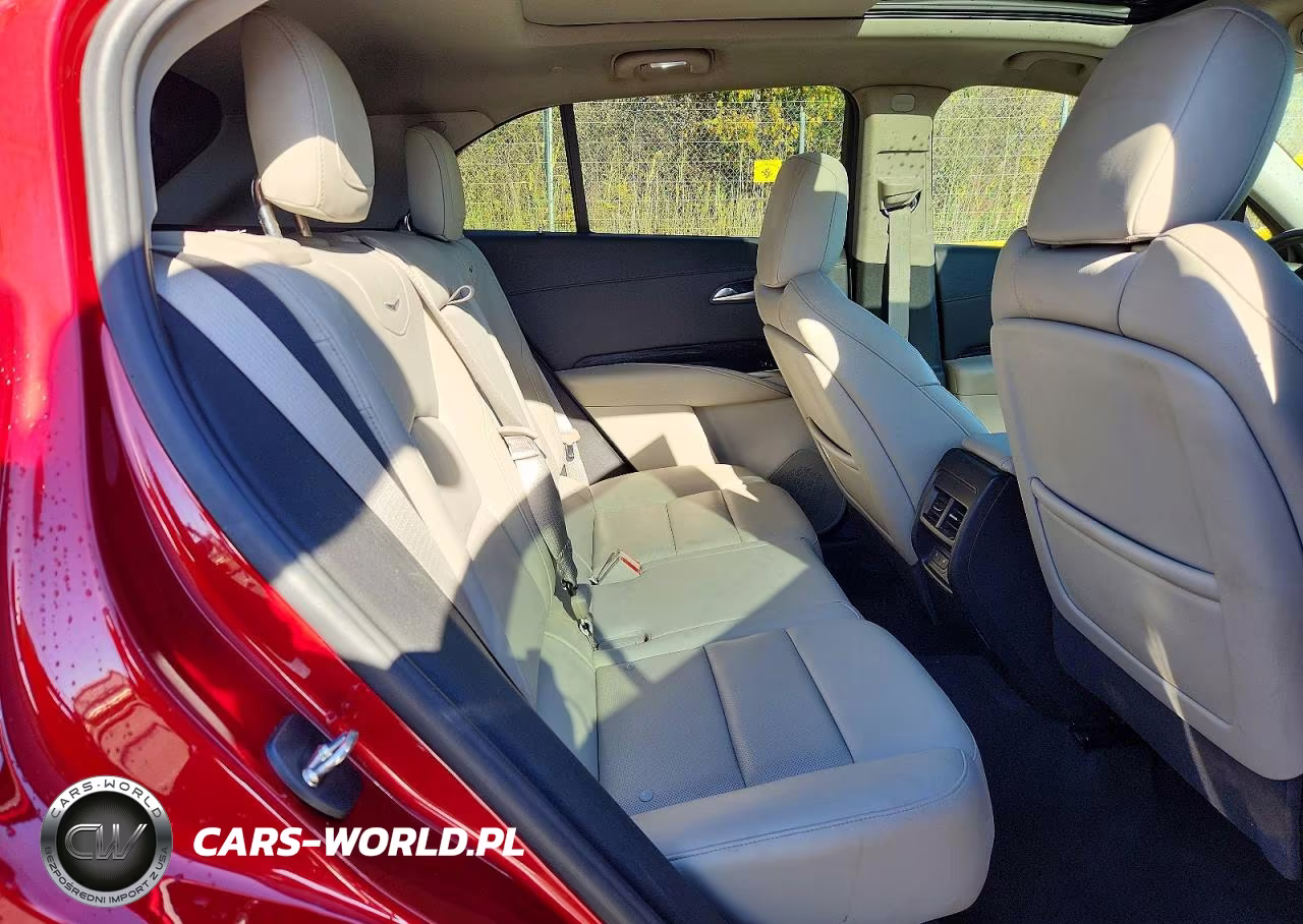 2023 Cadillac Xt4 Fwd Premium Luxury VIN:1GYFZCR4XPF185943 - 10