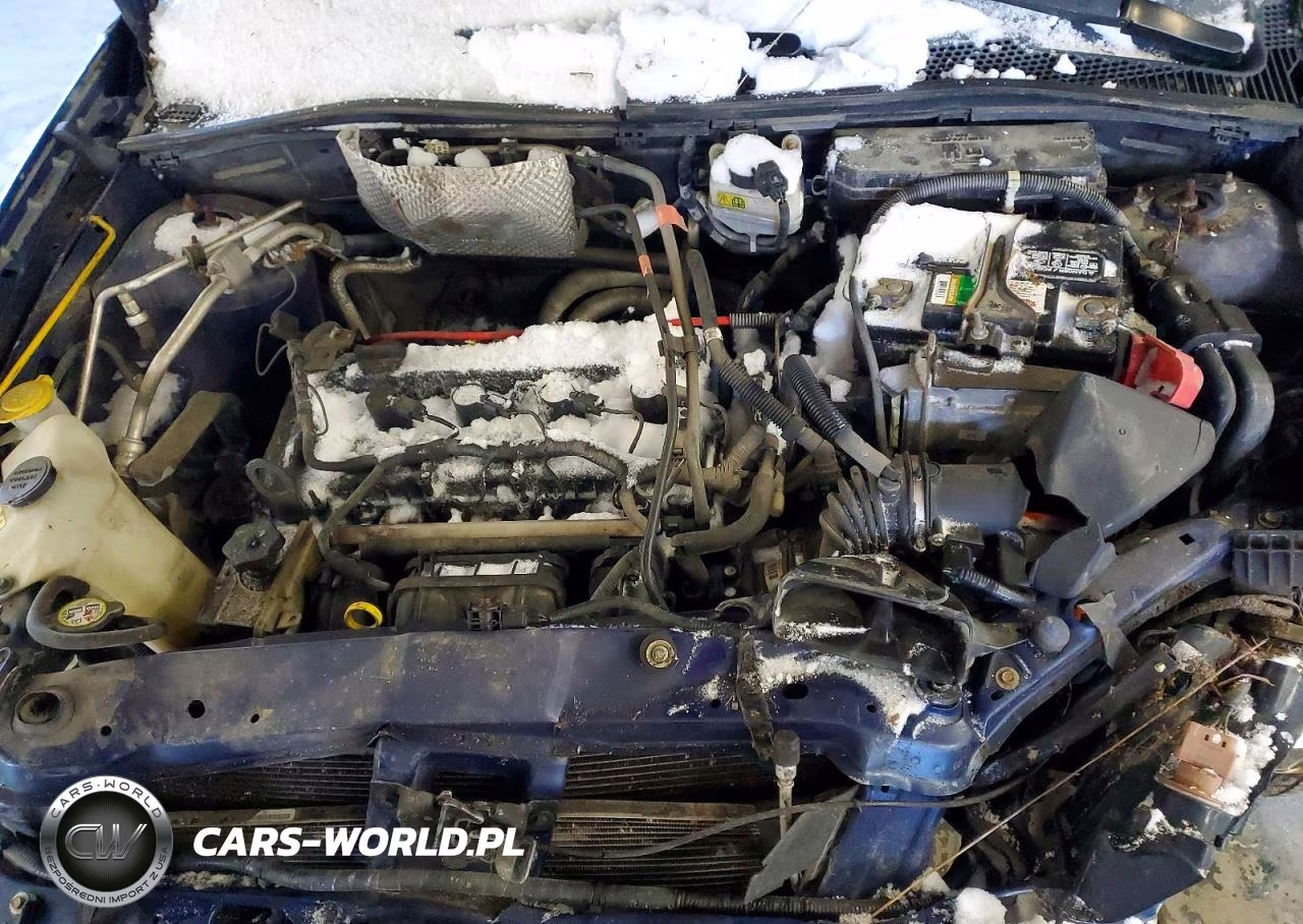 2008 Ford Focus Se VIN:1FAHP35N58W220012 - 11