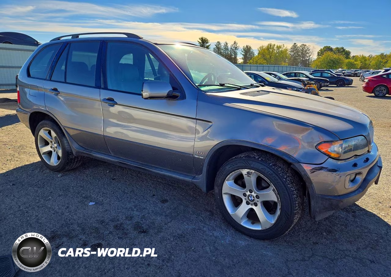 2005 BMW X5 4.4I VIN:5UXFB53595LV11154 - 4