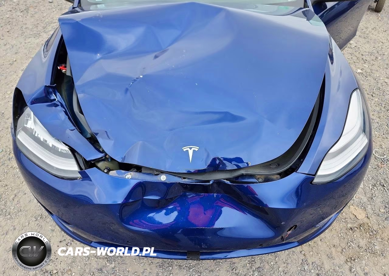 2021 Tesla Model Y VIN:5YJYGDEF3MF096829 - 11