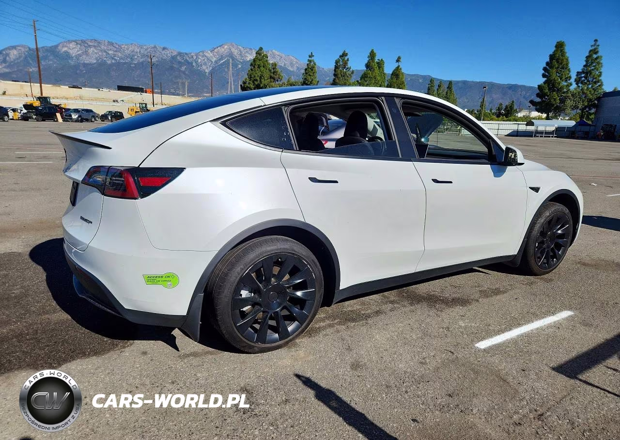 2023 Tesla Model Y VIN:7SAYGDEE0PA030105 - 3