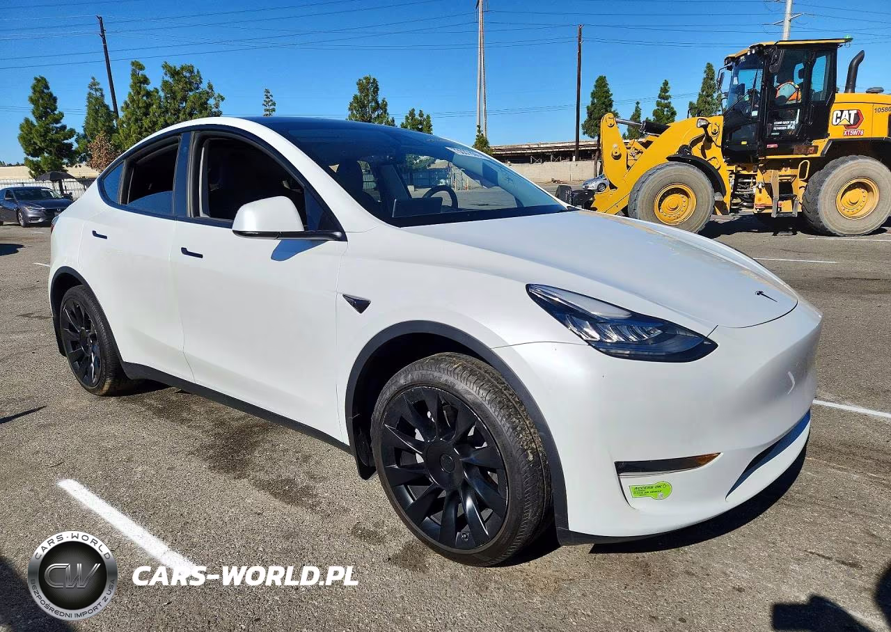 2023 Tesla Model Y VIN:7SAYGDEE0PA030105 - 4