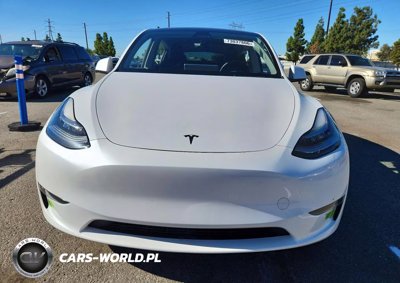 2023 Tesla Model Y VIN:7SAYGDEE0PA030105 - 5