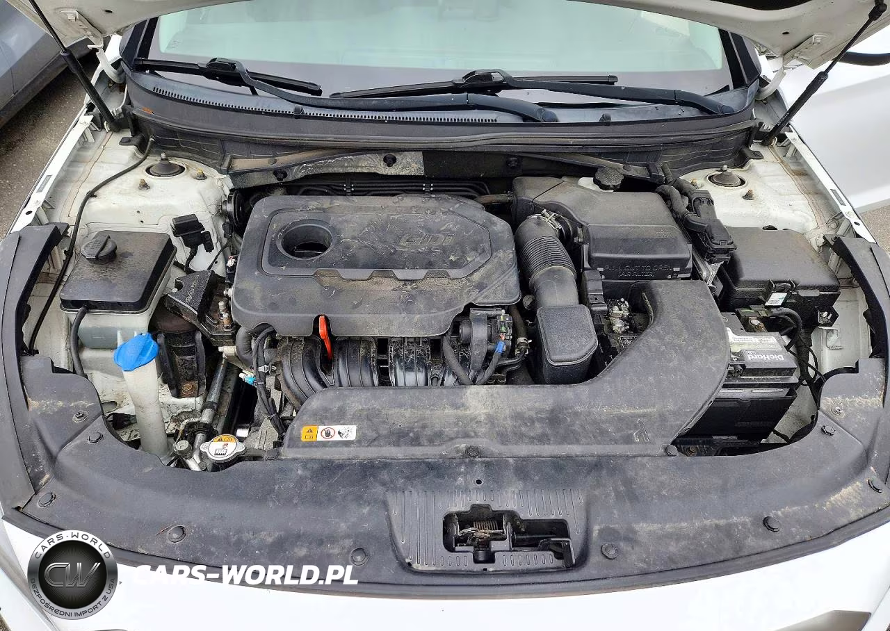 2017 Hyundai Sonata Se VIN:5NPE24AF5HH541103 - 11