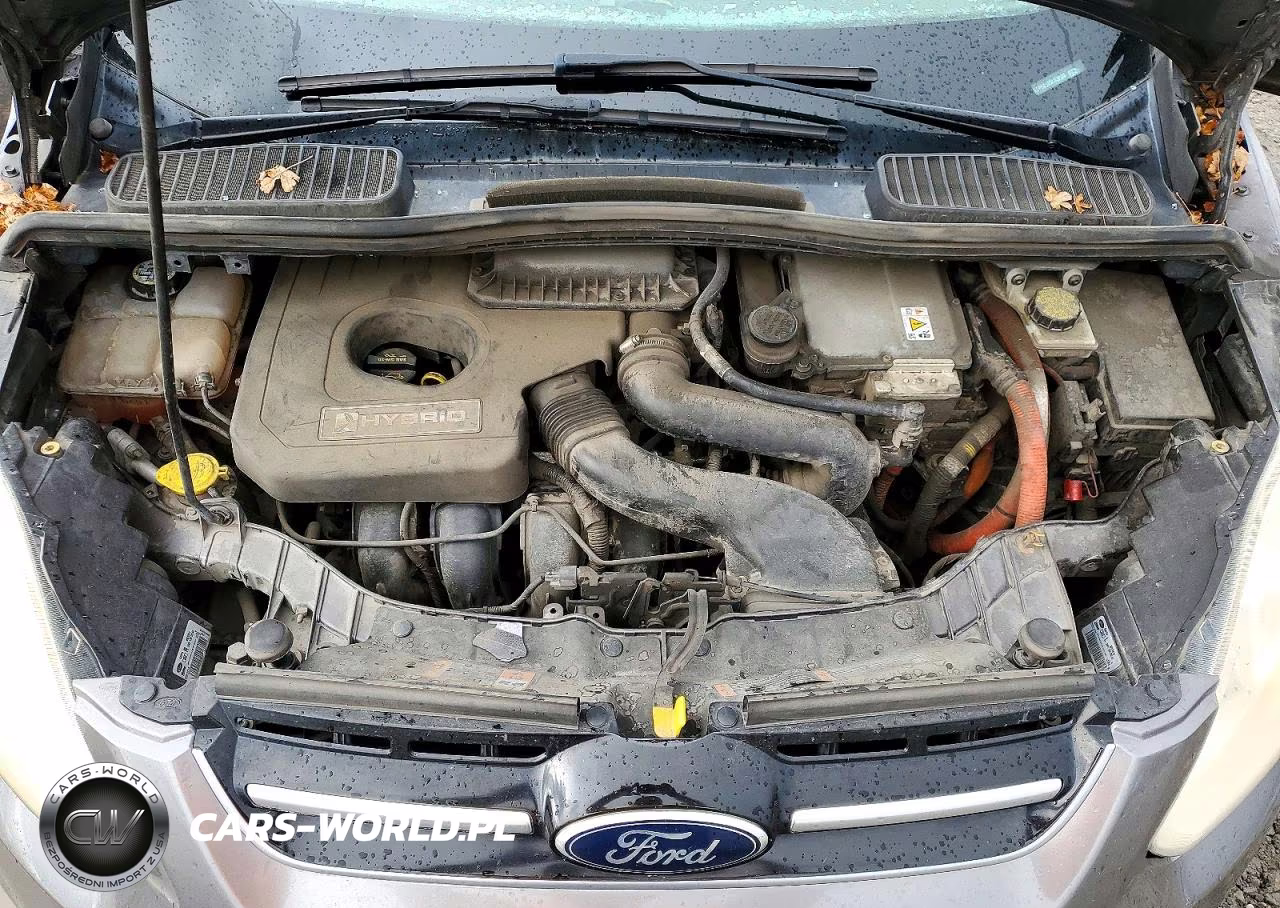 2013 Ford C-Max Sel VIN:1FADP5BU2DL509558 - 11