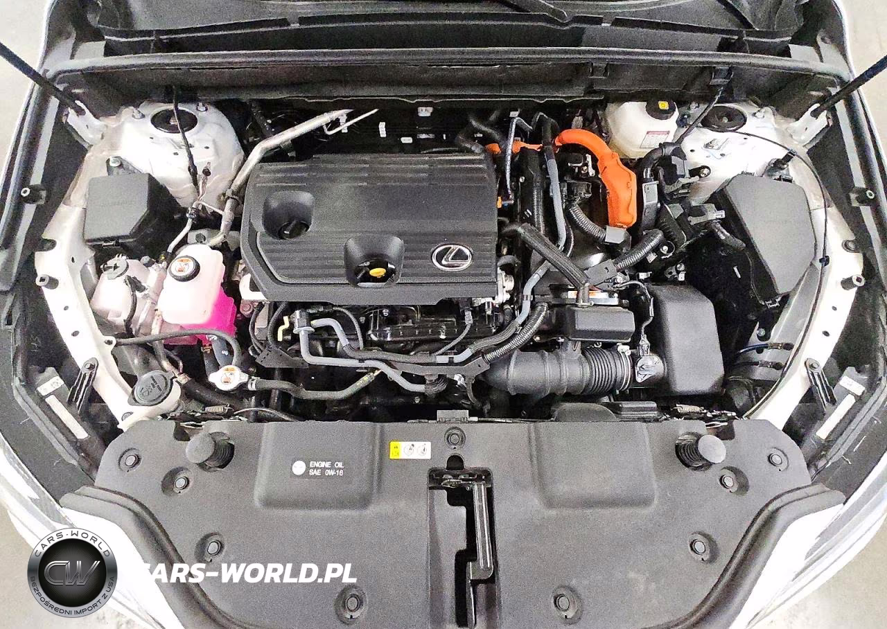 2025 Lexus Nx 350H Base VIN:2T2AKCEZXSC052845 - 12