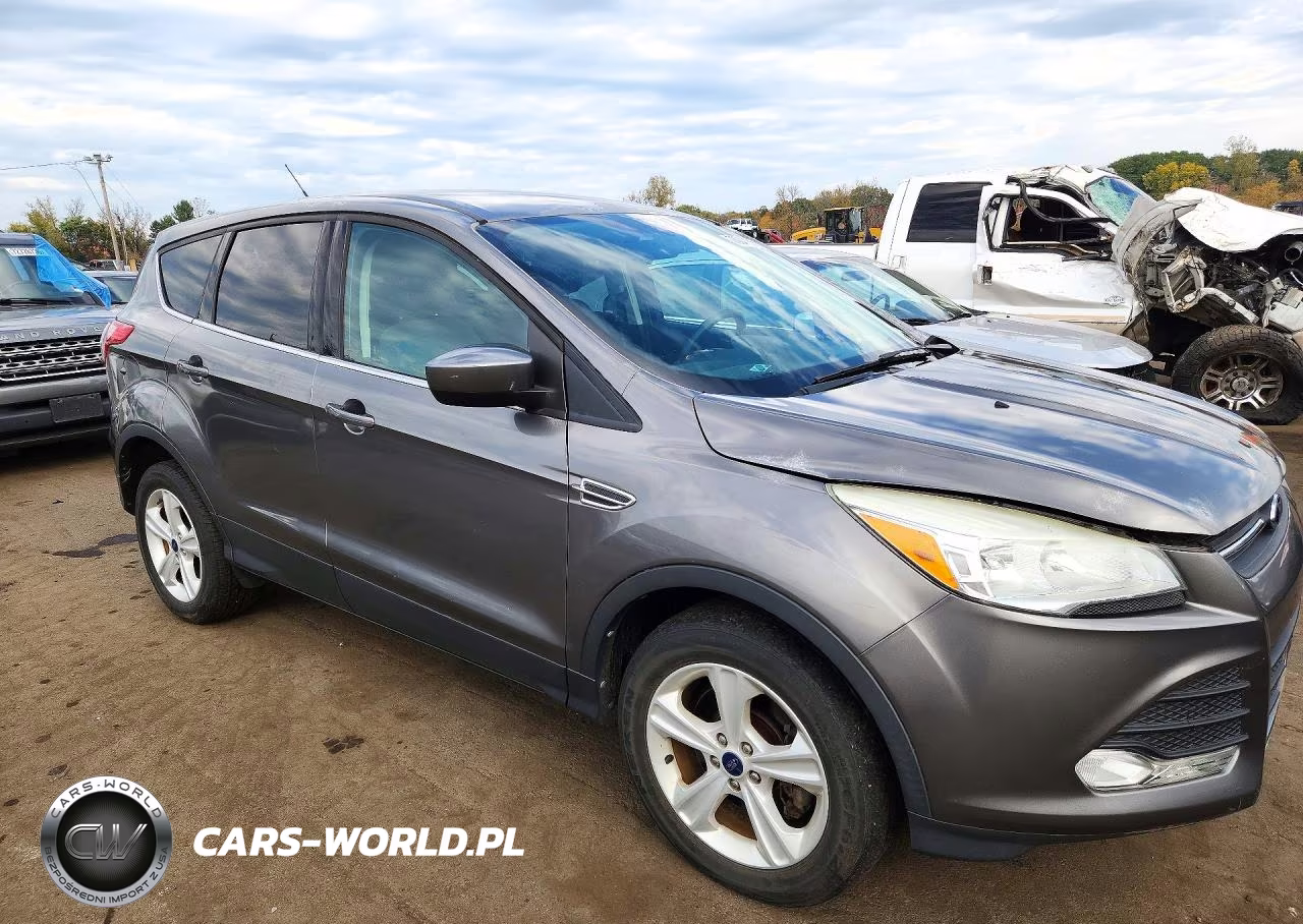 2014 Ford Escape Se VIN:1FMCU9GX3EUC09768 - 4