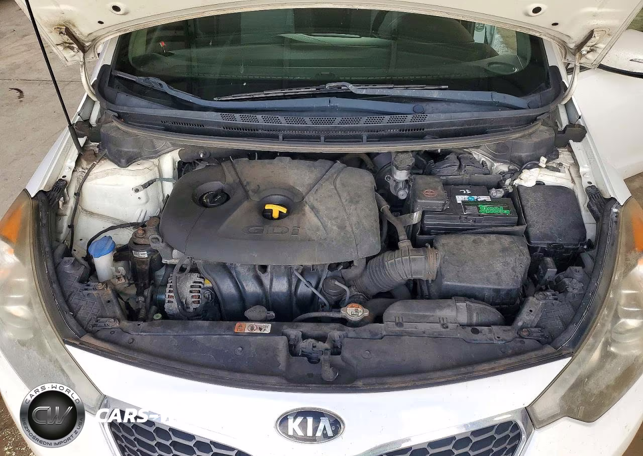 2015 Kia Forte Ex VIN:KNAFX4A8XF5305600 - 11