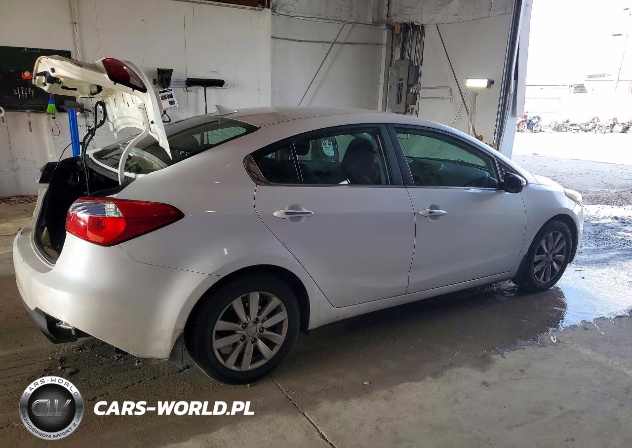 2015 Kia Forte Ex VIN:KNAFX4A8XF5305600 - 3