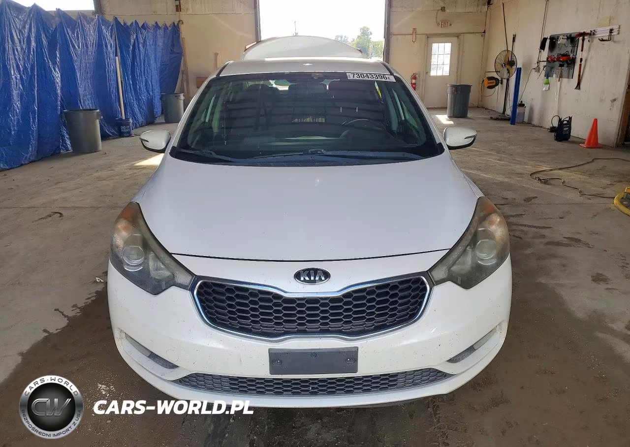 2015 Kia Forte Ex VIN:KNAFX4A8XF5305600 - 5