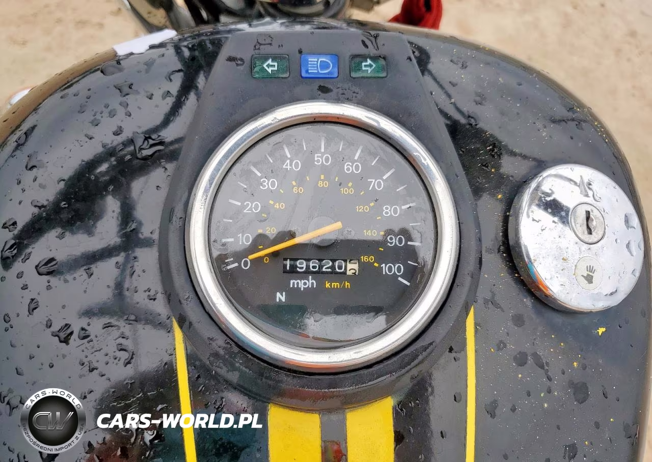 2001 Suzuki Ls650 P VIN:JS1NP41A612100510 - 7