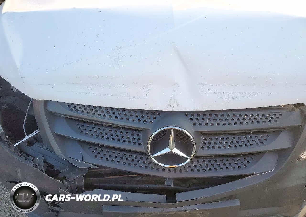 2018 Mercedes-Benz Metris Delivery Van VIN:WD3PG3EA6J3464689 - 12