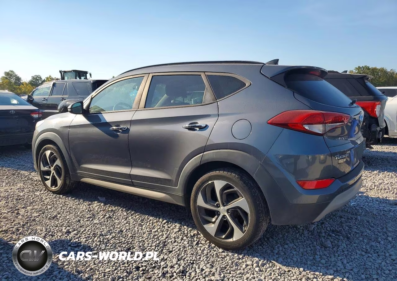 2017 Hyundai Tucson Limited VIN:KM8J33A21HU368751 - 2