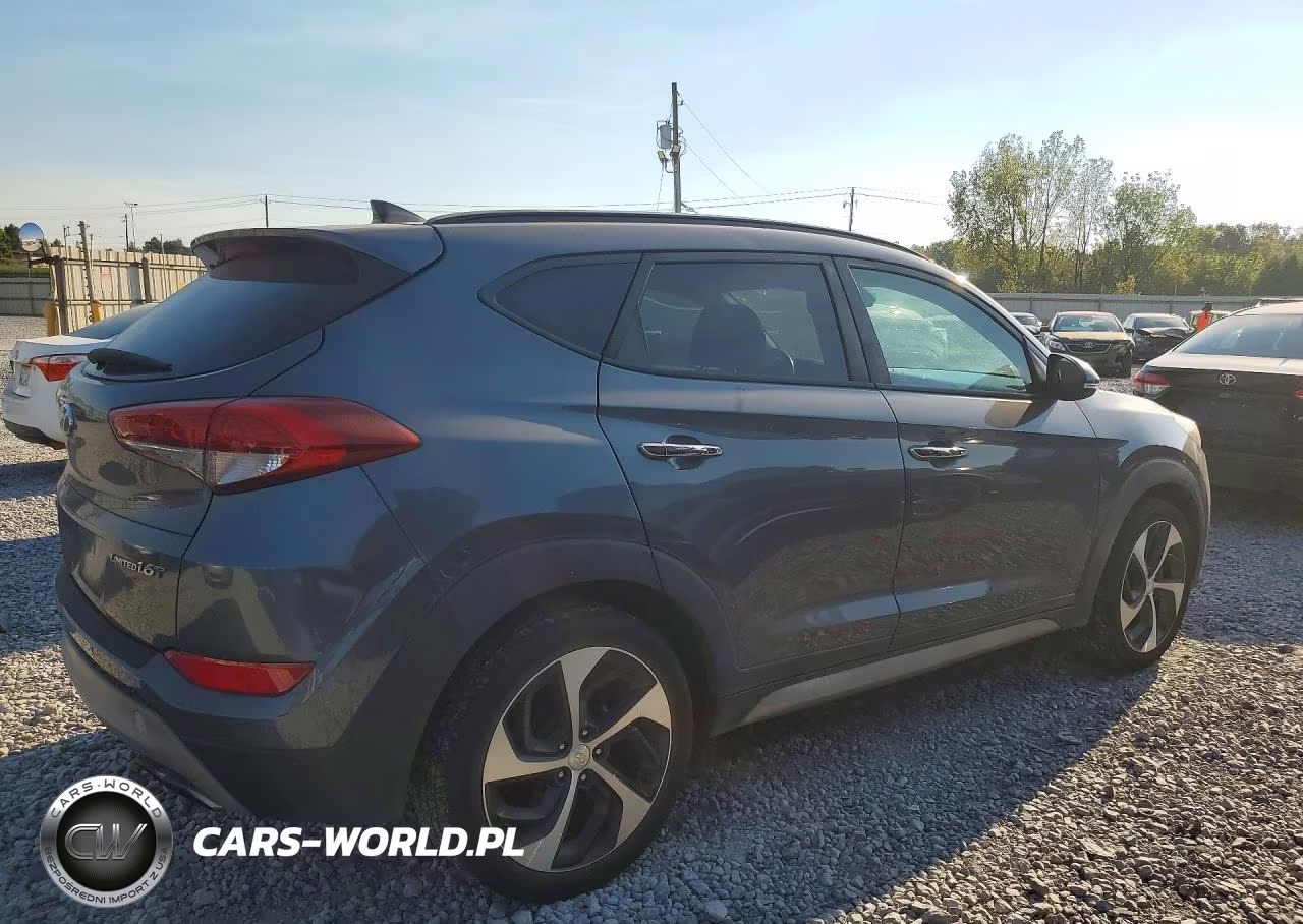 2017 Hyundai Tucson Limited VIN:KM8J33A21HU368751 - 3
