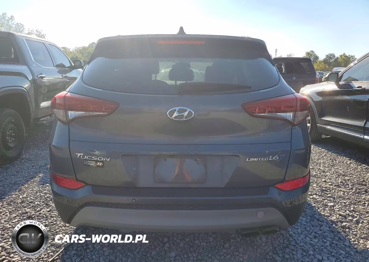 2017 Hyundai Tucson Limited VIN:KM8J33A21HU368751 - 6