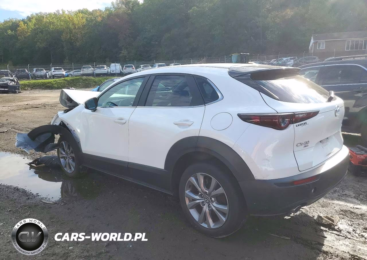 2022 Mazda Cx-30 Select VIN:3MVDMBBL7NM451860 - 2