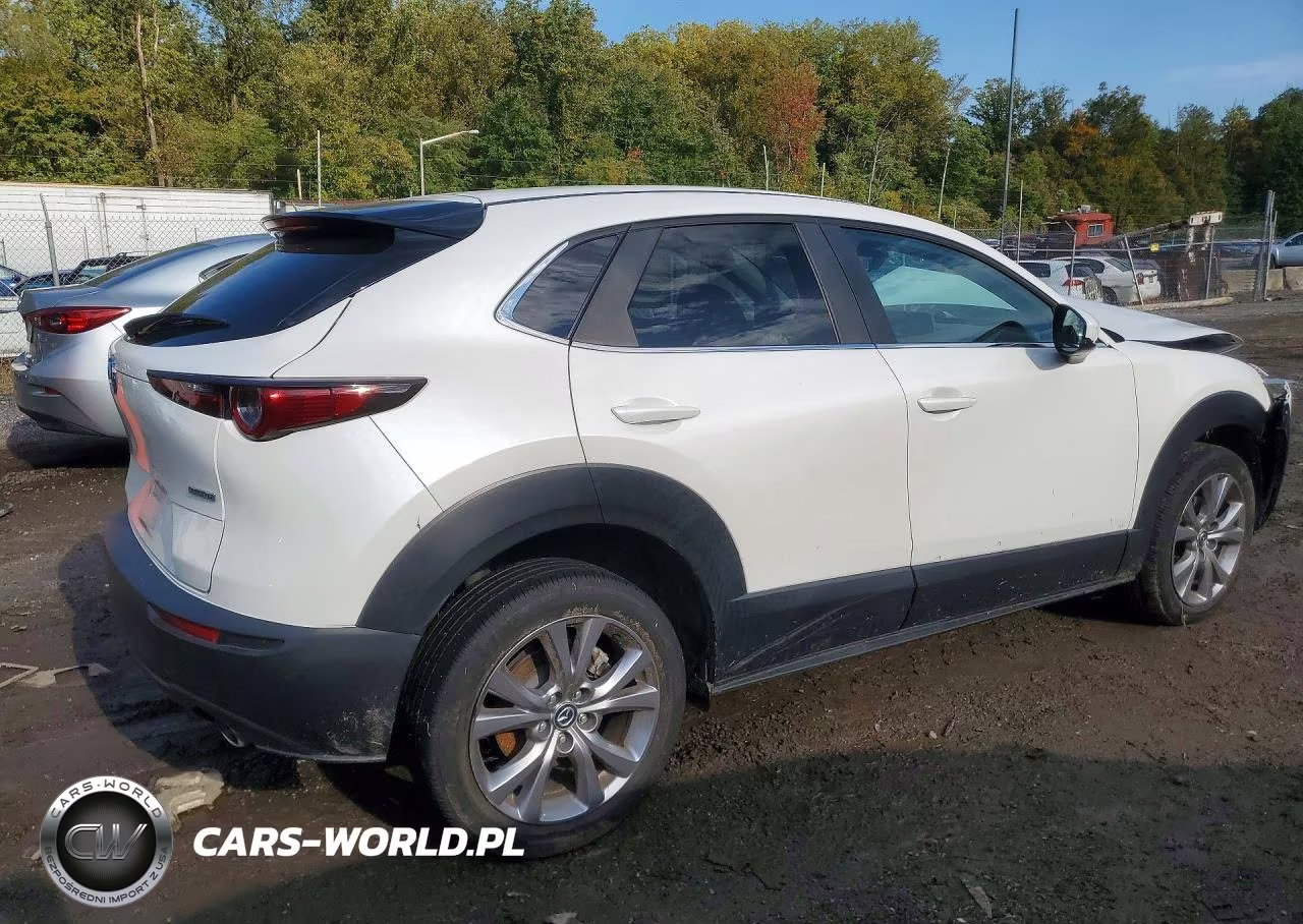2022 Mazda Cx-30 Select VIN:3MVDMBBL7NM451860 - 3