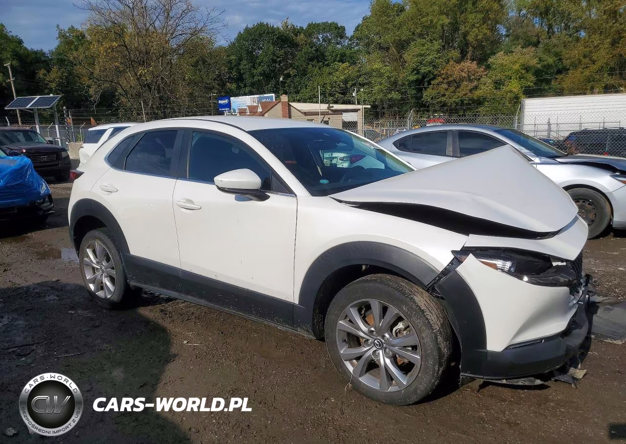 2022 Mazda Cx-30 Select VIN:3MVDMBBL7NM451860 - 4