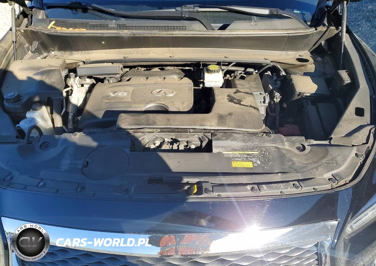 2020 Infiniti Qx60 Luxe VIN:5N1DL0MM9LC517950 - 11