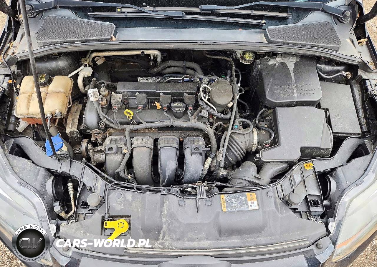 2014 Ford Focus Se VIN:1FADP3K26EL314468 - 11