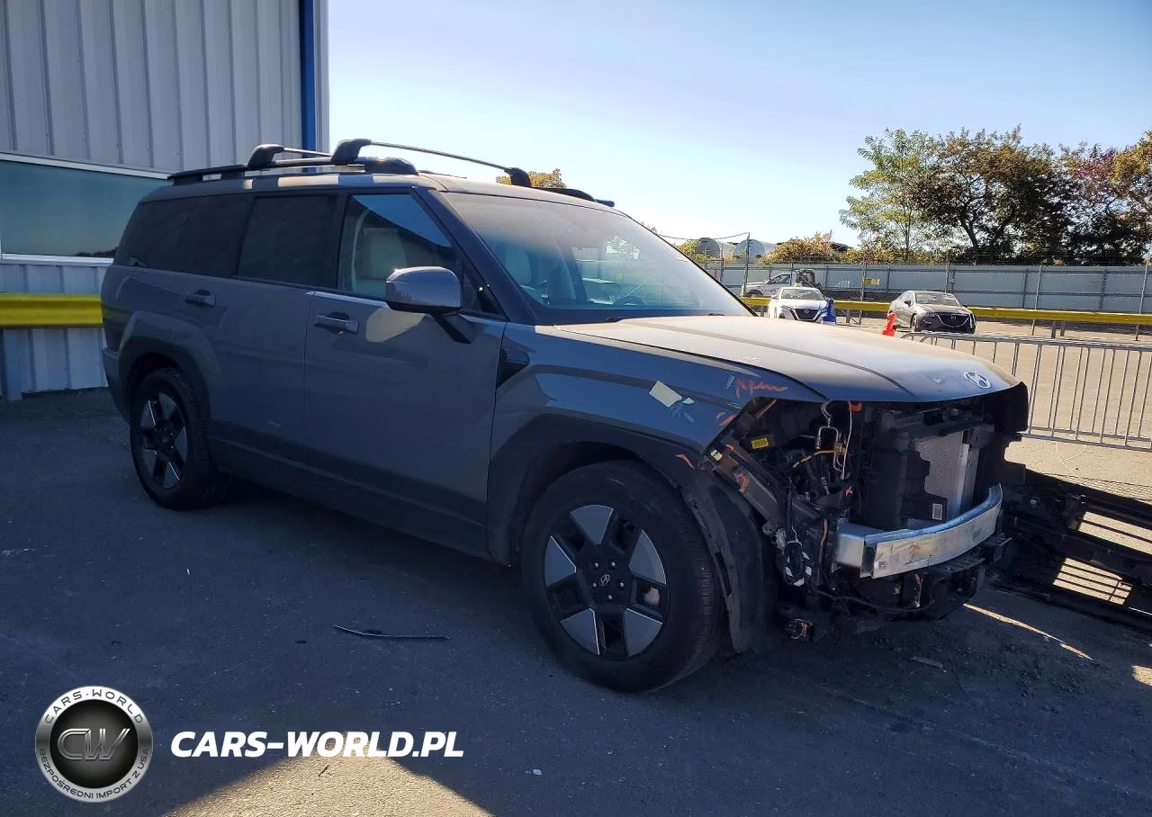 2025 Hyundai Santa Fe Sel VIN:5NMP2DG11SH067787 - 4