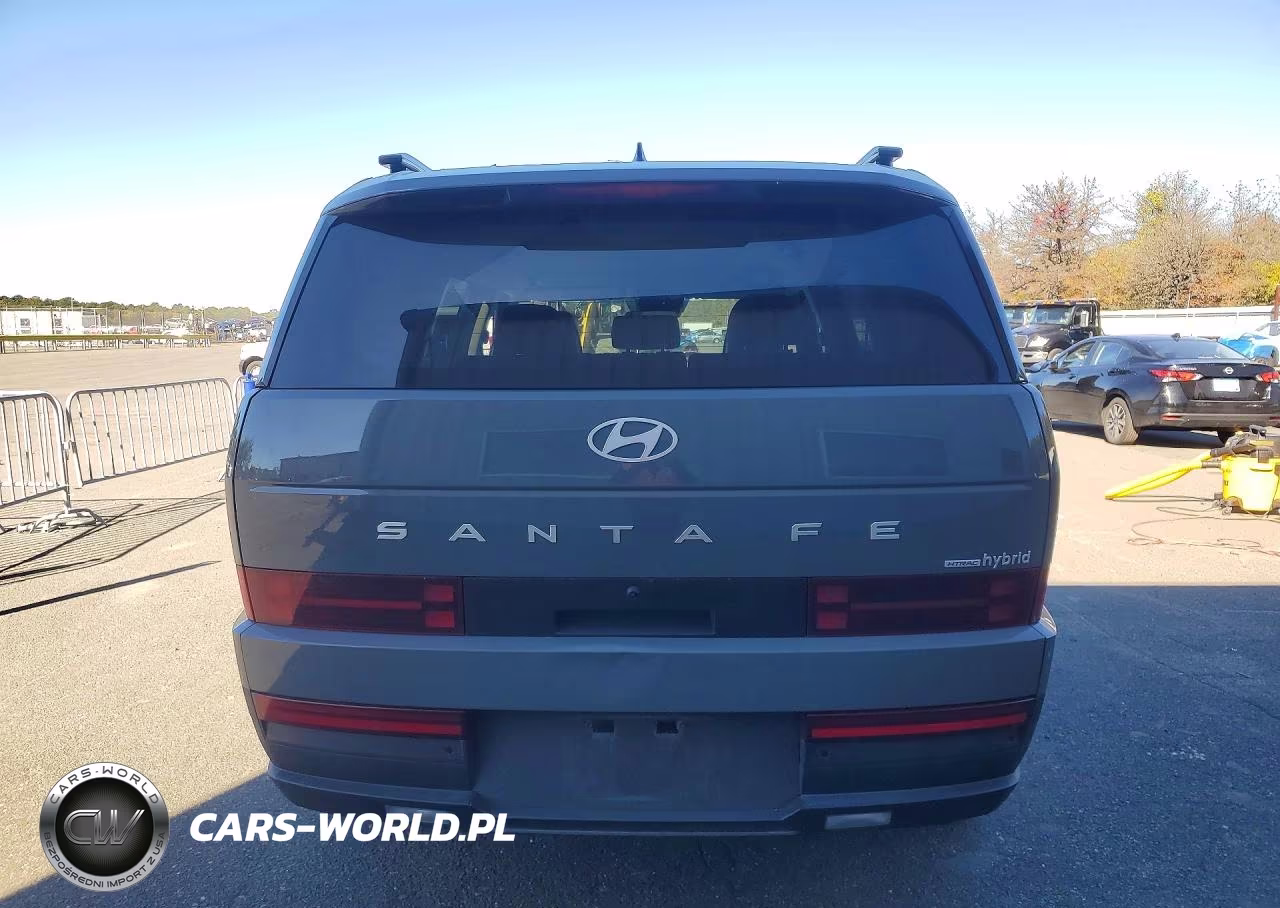 2025 Hyundai Santa Fe Sel VIN:5NMP2DG11SH067787 - 6