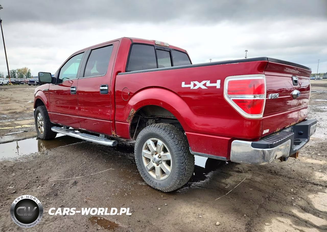 2014 Ford F150 Supercrew VIN:1FTFW1EF0EKF71849 - 2
