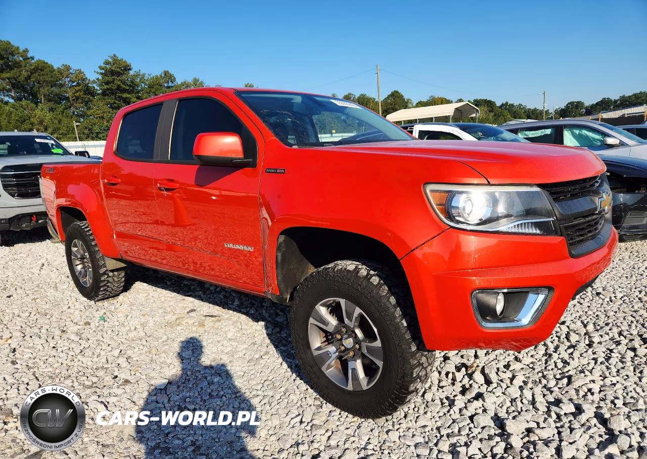 2016 Chevrolet Colorado Z71 VIN:1GCPTDE18G1356926 - 4