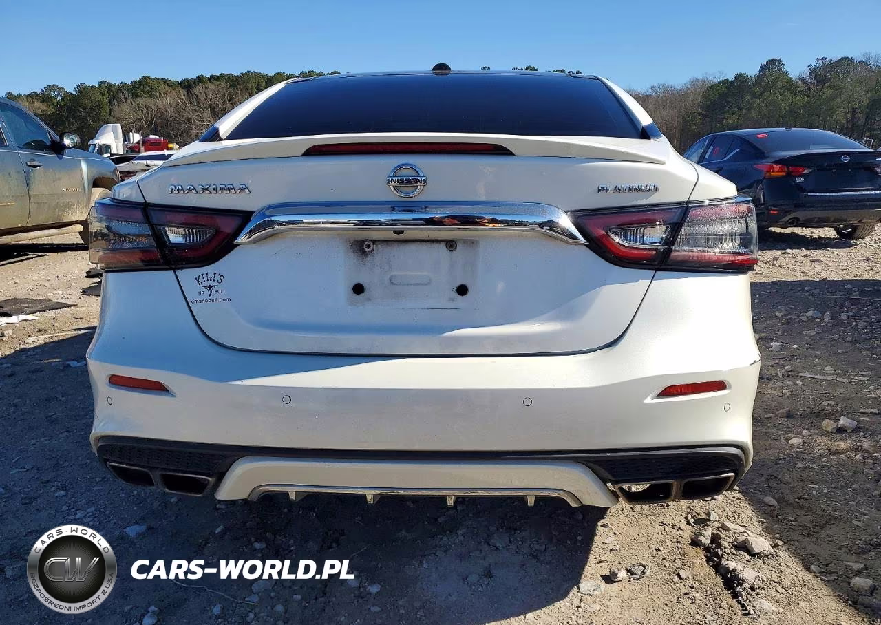 2020 Nissan Maxima Platinum VIN:1N4AA6FV2LC373928 - 6