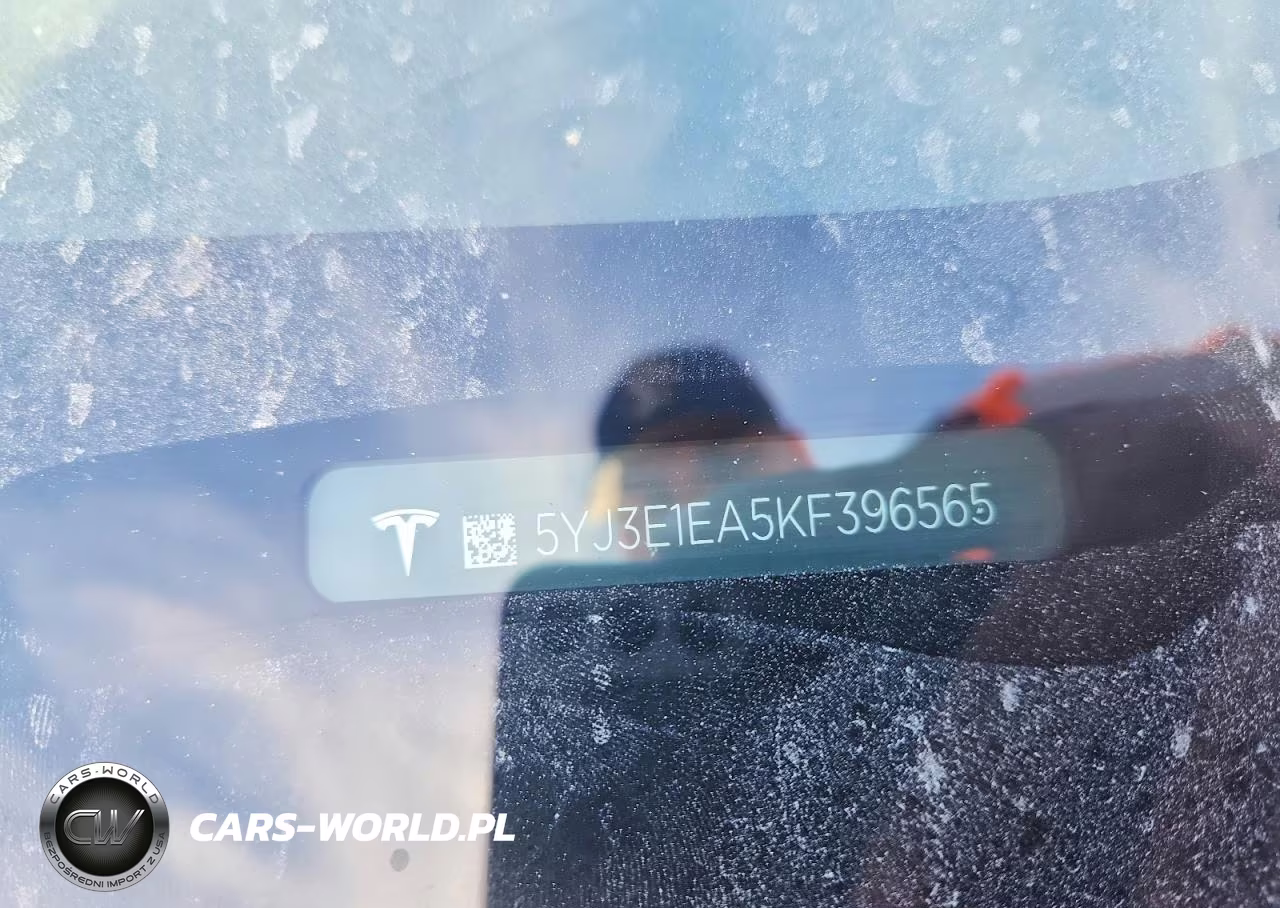2019 Tesla Model 3 VIN:5YJ3E1EA5KF396565 - 12