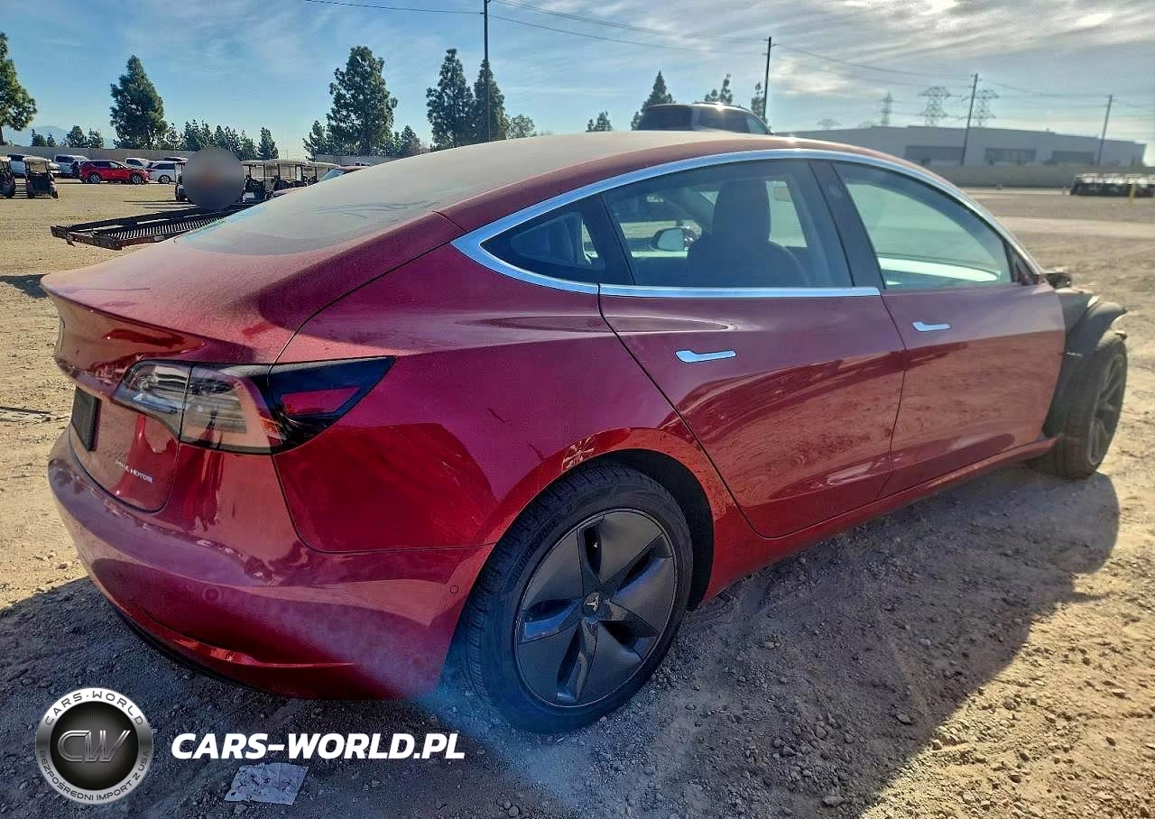 2019 Tesla Model 3 VIN:5YJ3E1EA5KF396565 - 3