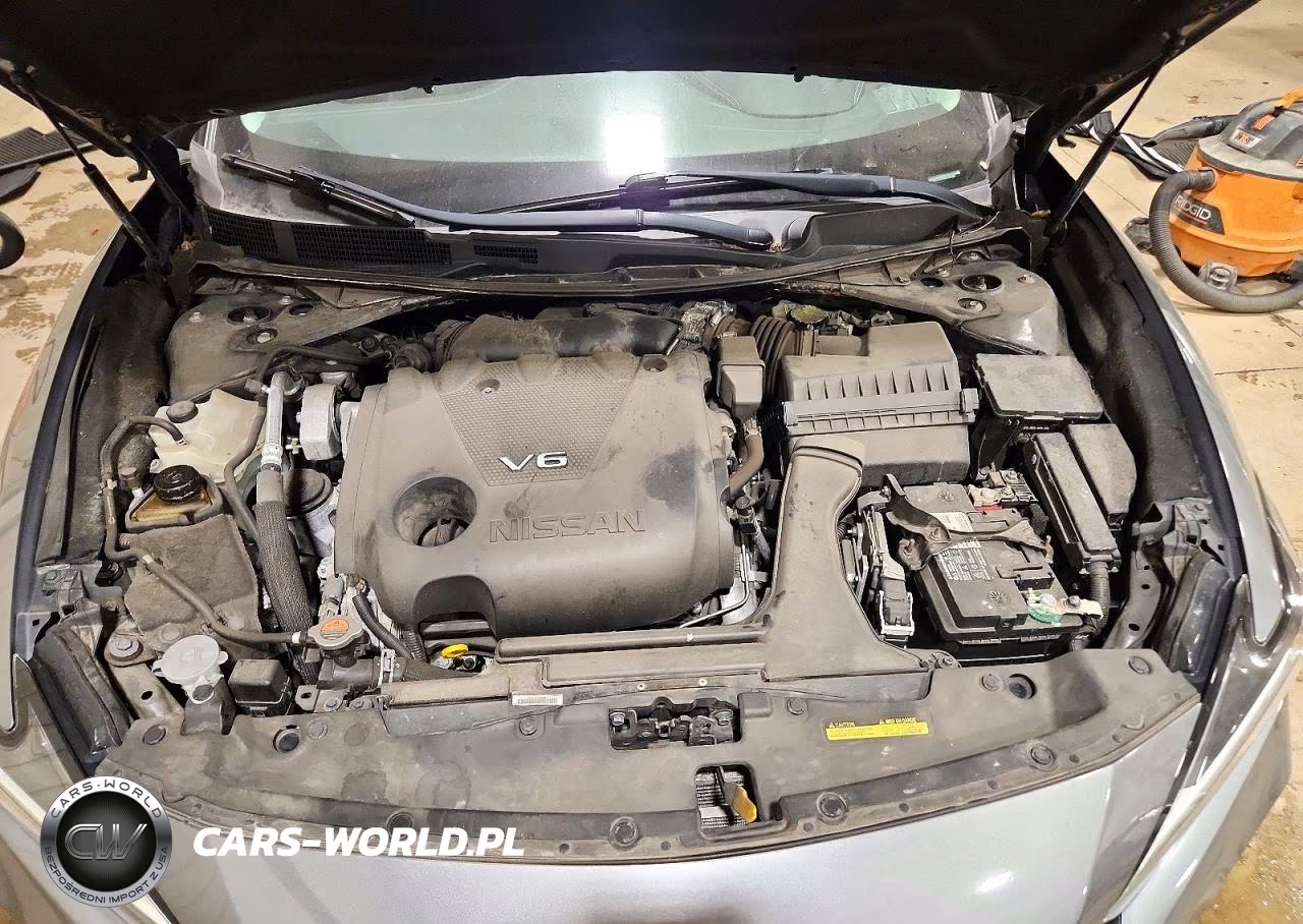 2020 Nissan Maxima Sl VIN:1N4AA6DV2LC379862 - 11