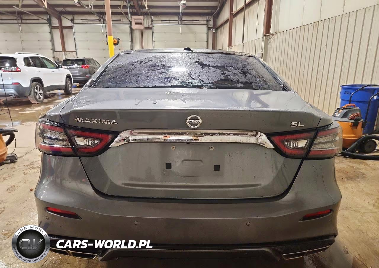 2020 Nissan Maxima Sl VIN:1N4AA6DV2LC379862 - 6