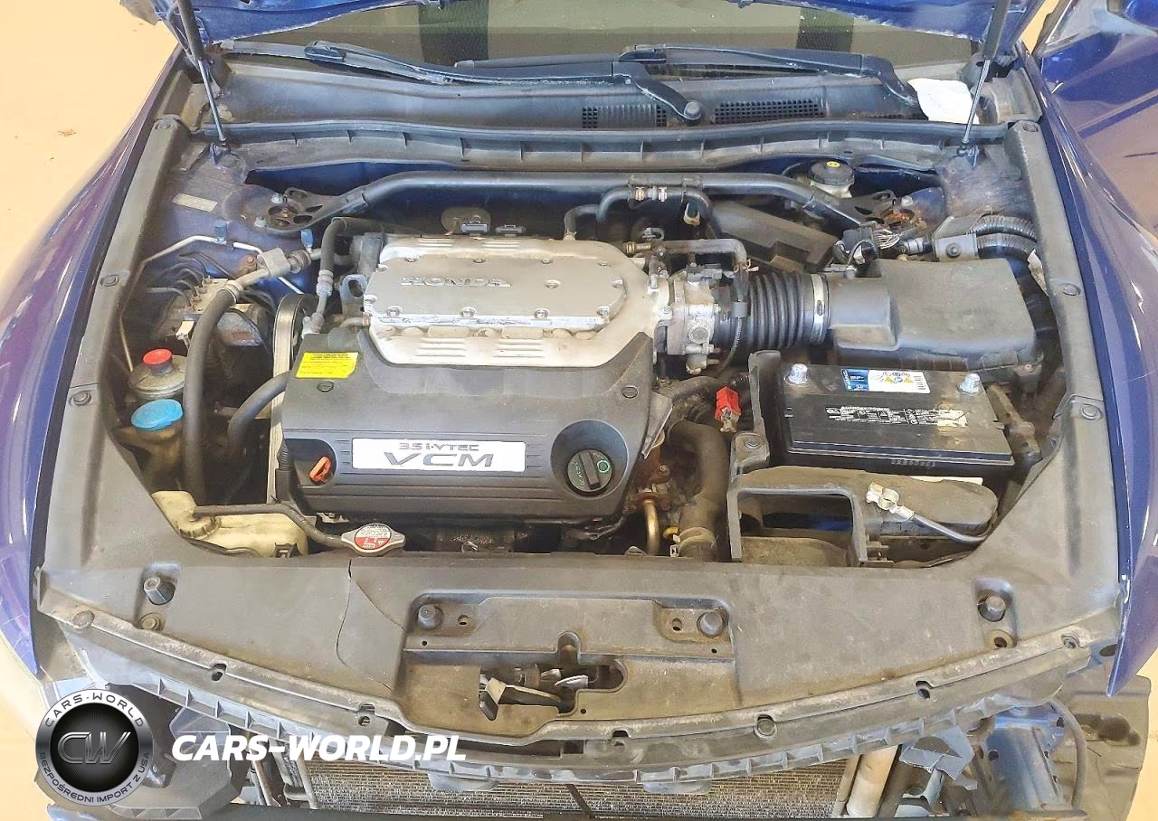 2010 Honda Accord Exl VIN:1HGCS2B89AA008598 - 11