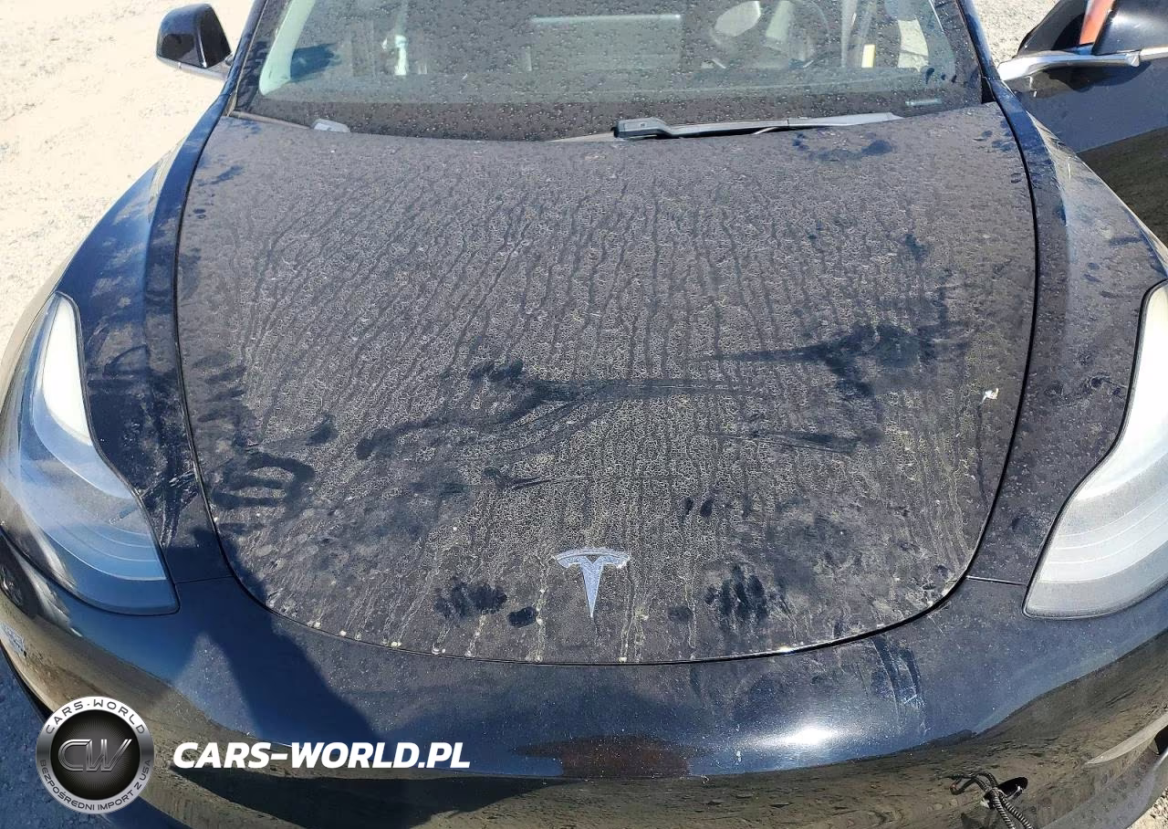 2018 Tesla Model 3 VIN:5YJ3E1EAXJF040658 - 11