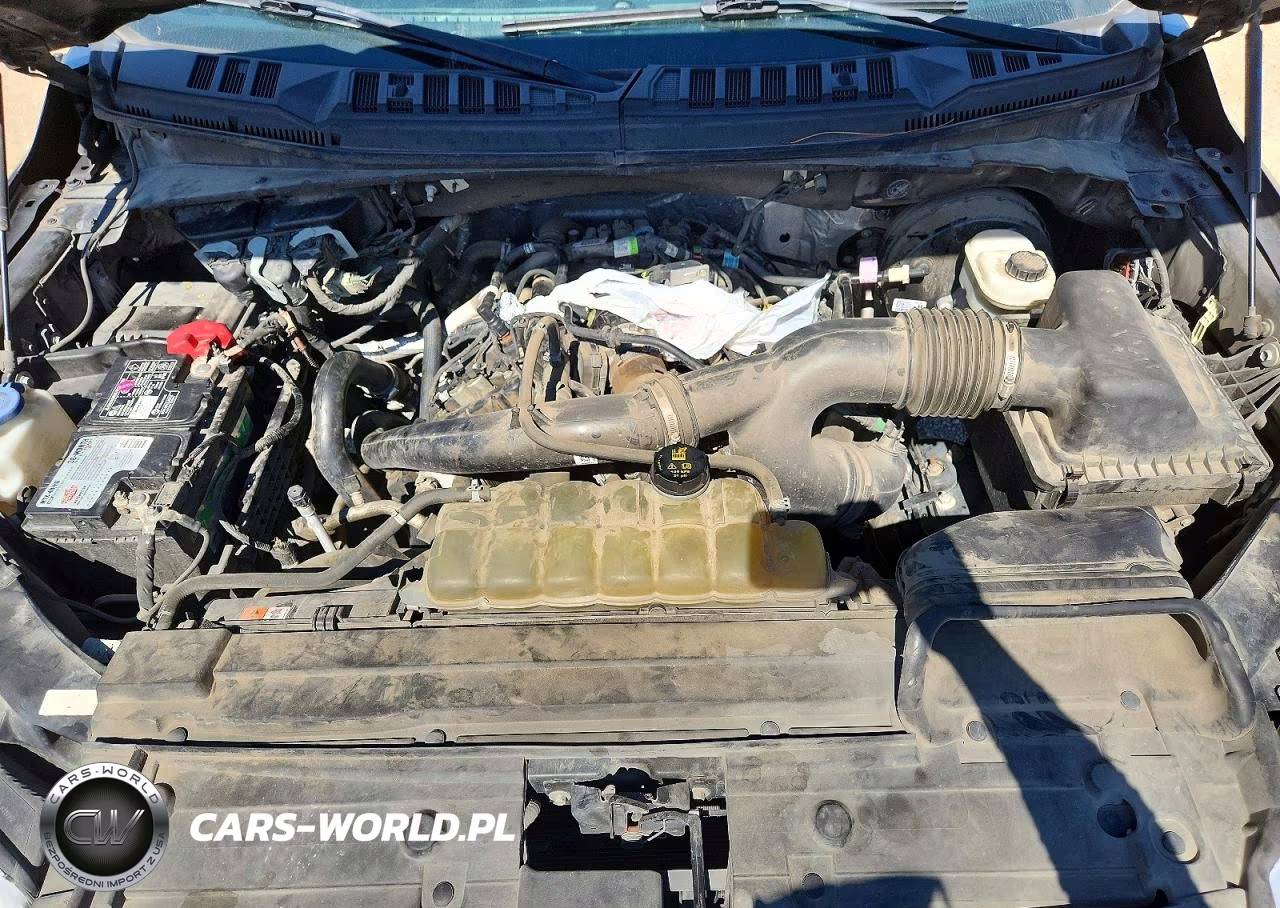 2020 Ford F150 Supercrew VIN:1FTEW1CP0LKD01167 - 11
