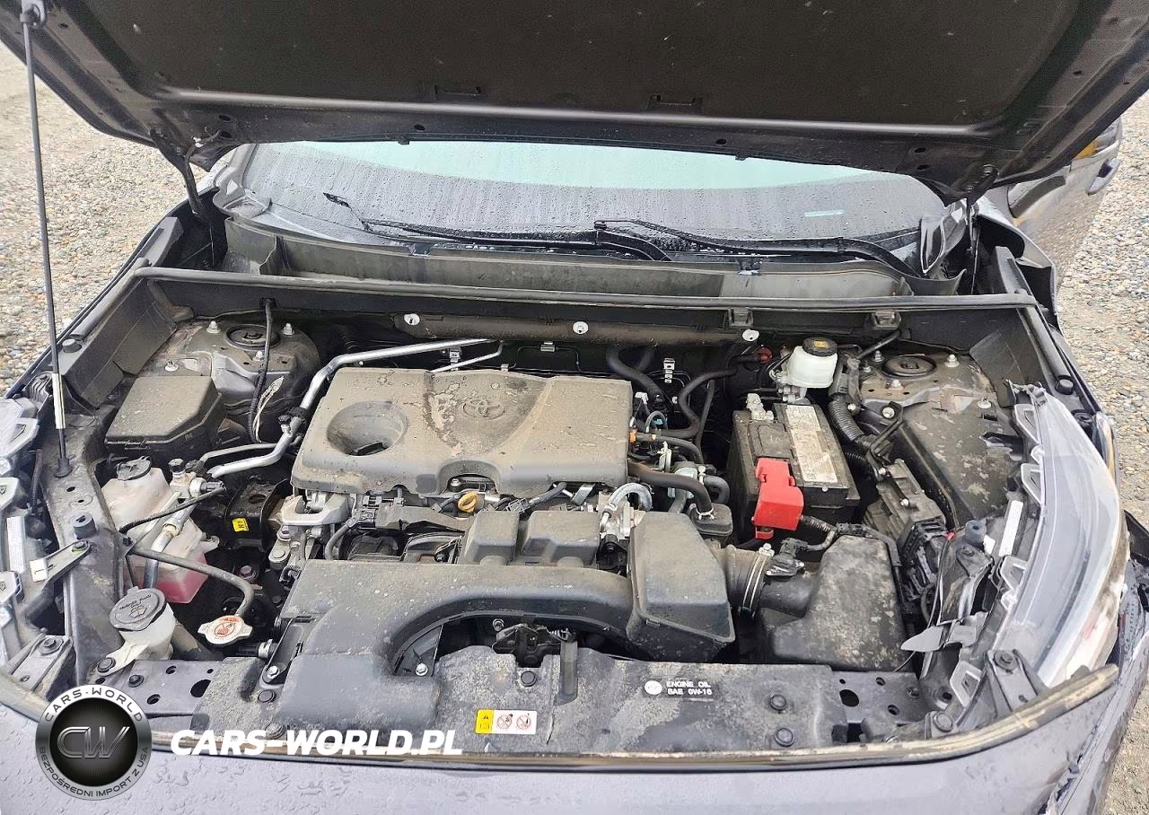 2023 Toyota Rav4 Trd Off Road VIN:2T3S1RFV4PW366479 - 12