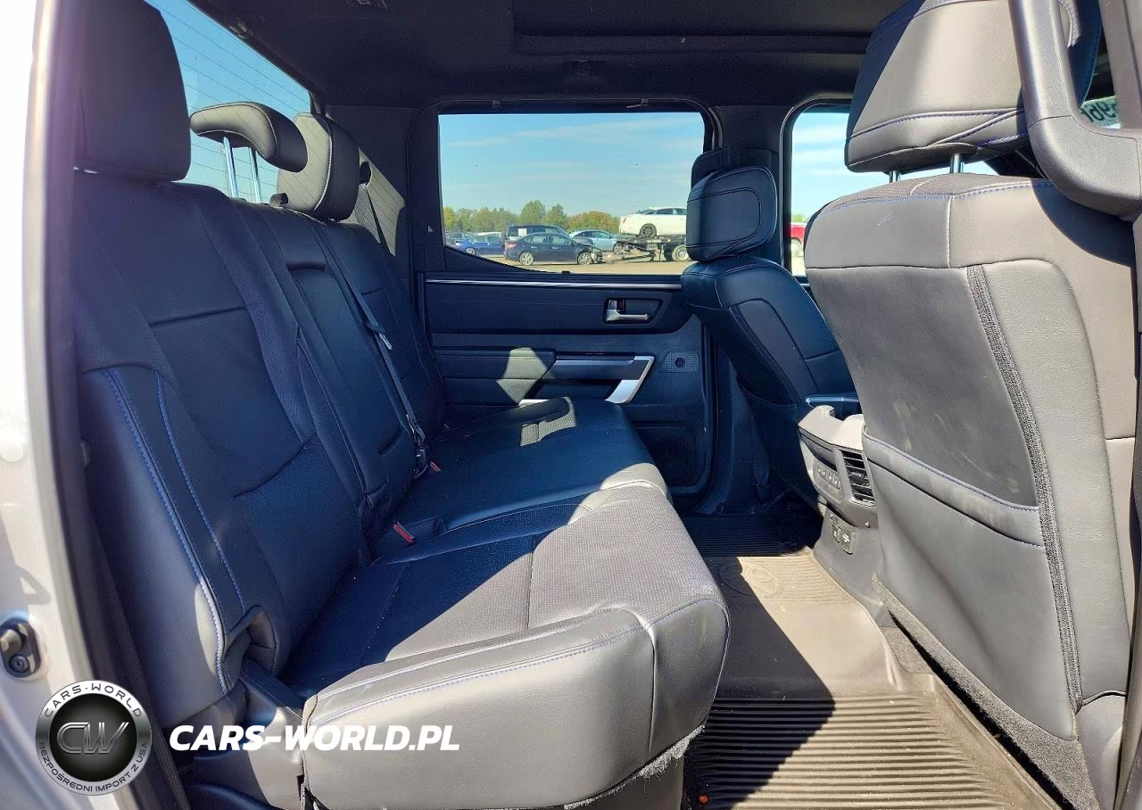 2023 Toyota Tundra Platinum Hv VIN:5TFNC5DB3PX039656 - 10