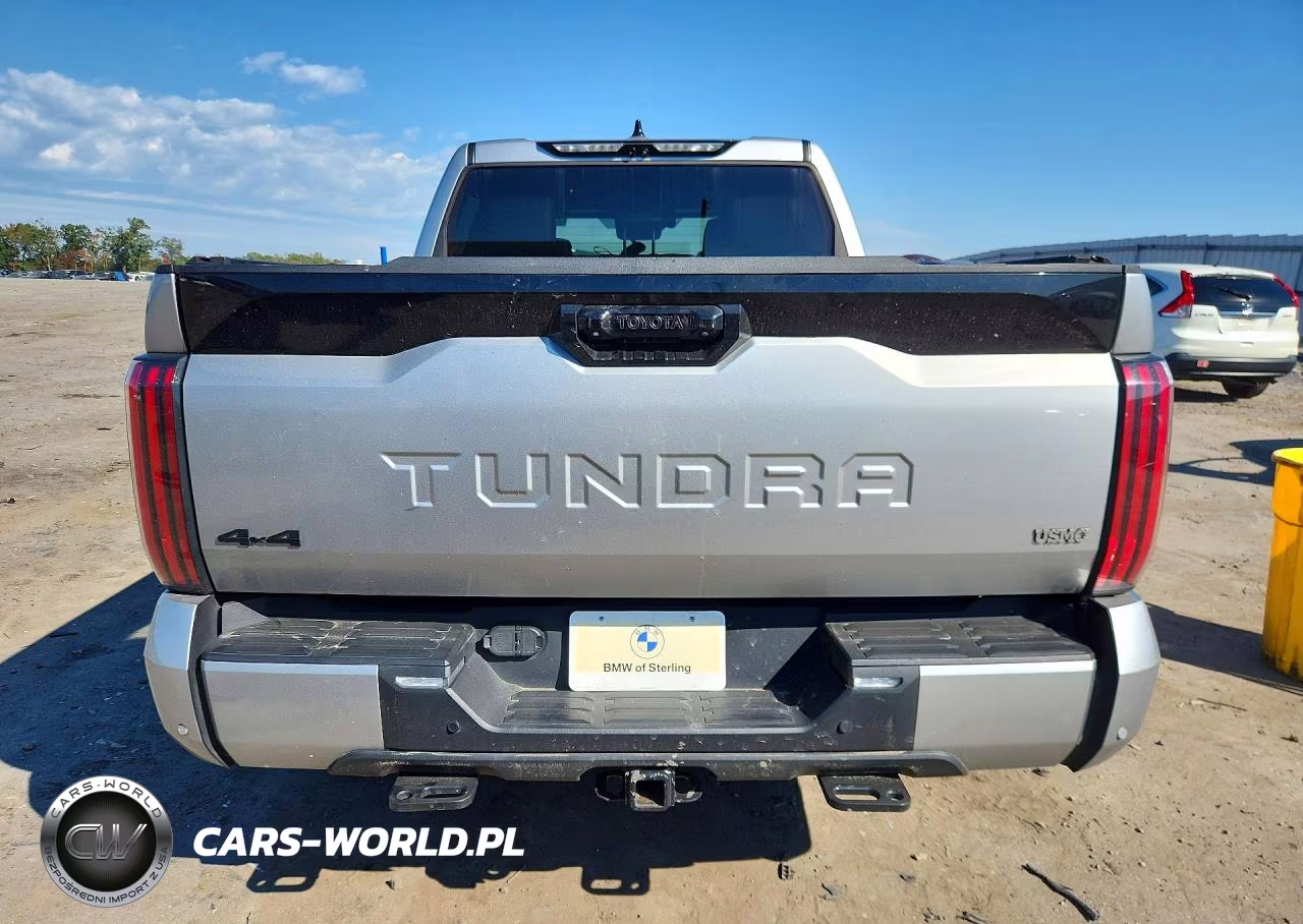2023 Toyota Tundra Platinum Hv VIN:5TFNC5DB3PX039656 - 6