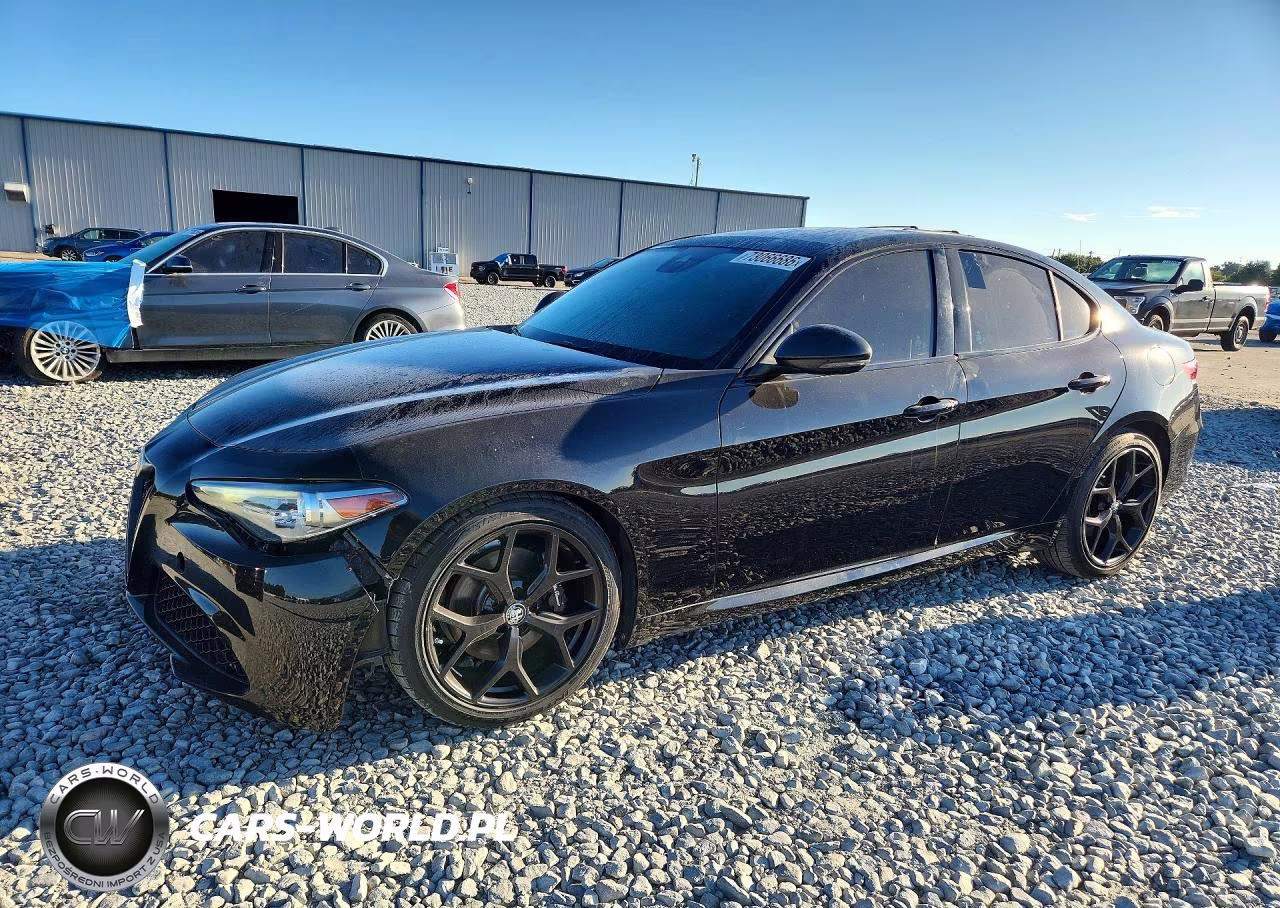 2020 Alfa Romeo Giulia VIN:ZARFAMAN7L7632312 - 1