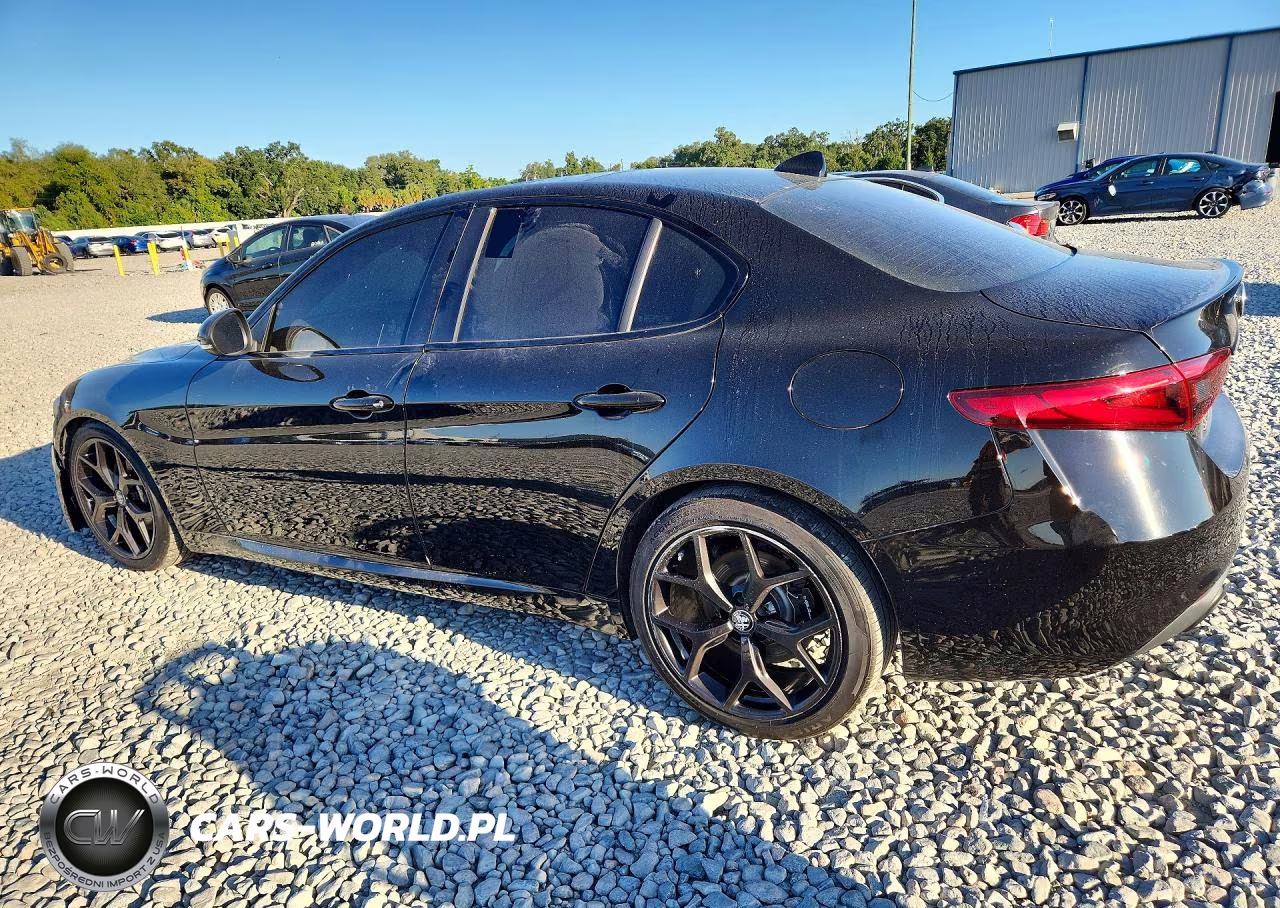 2020 Alfa Romeo Giulia VIN:ZARFAMAN7L7632312 - 2