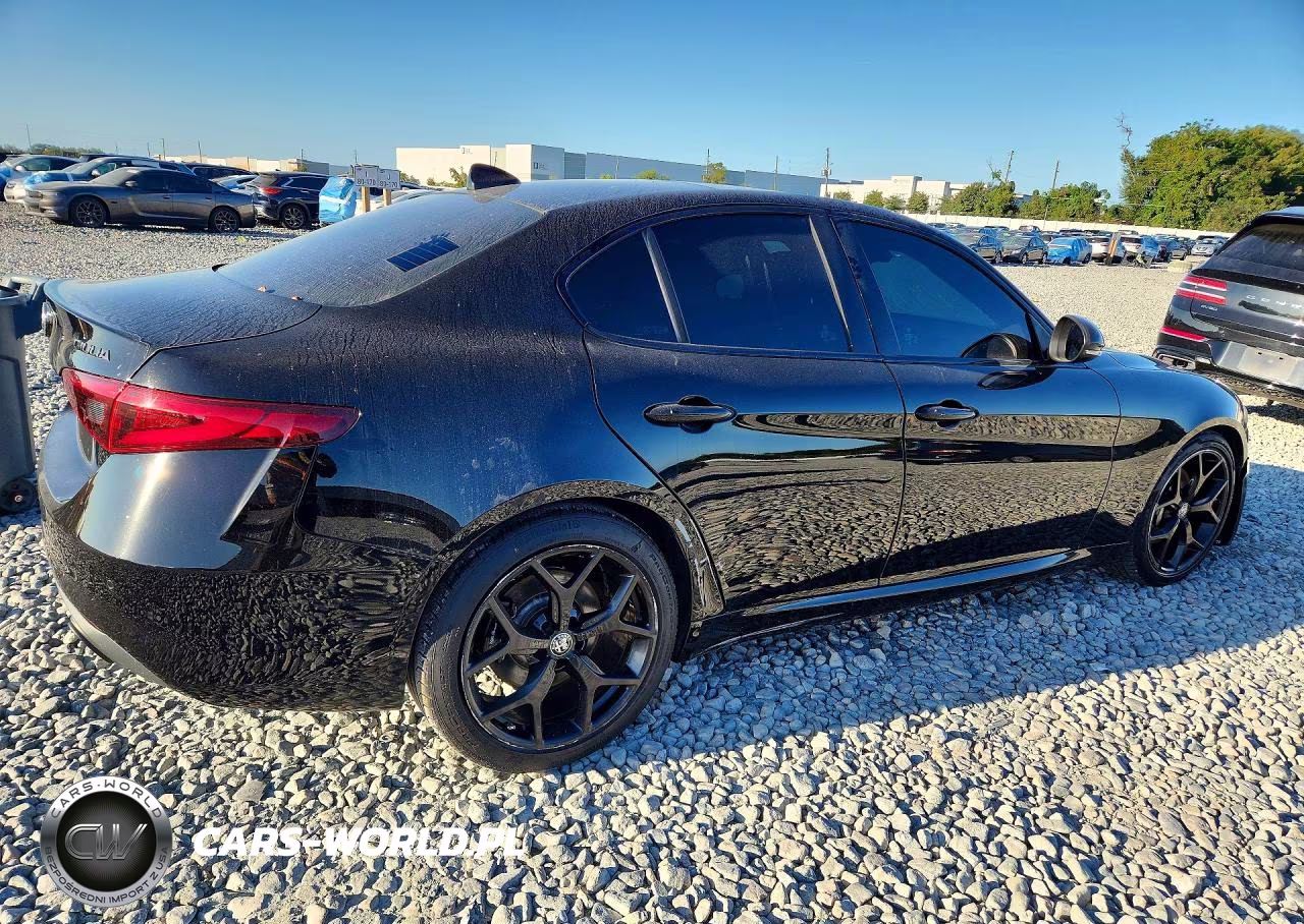 2020 Alfa Romeo Giulia VIN:ZARFAMAN7L7632312 - 3