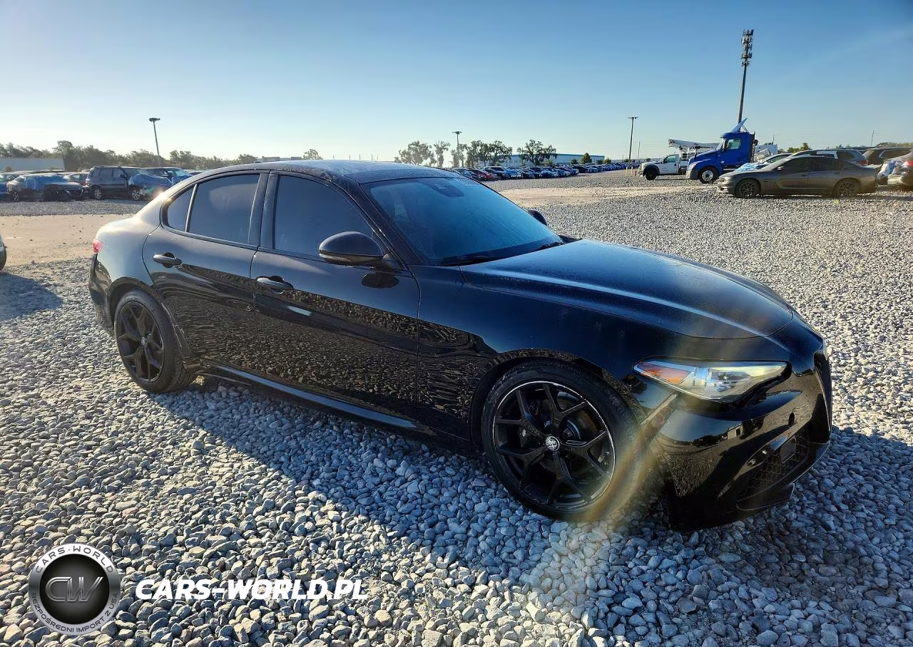 2020 Alfa Romeo Giulia VIN:ZARFAMAN7L7632312 - 4