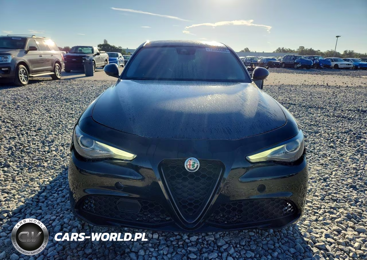 2020 Alfa Romeo Giulia VIN:ZARFAMAN7L7632312 - 5