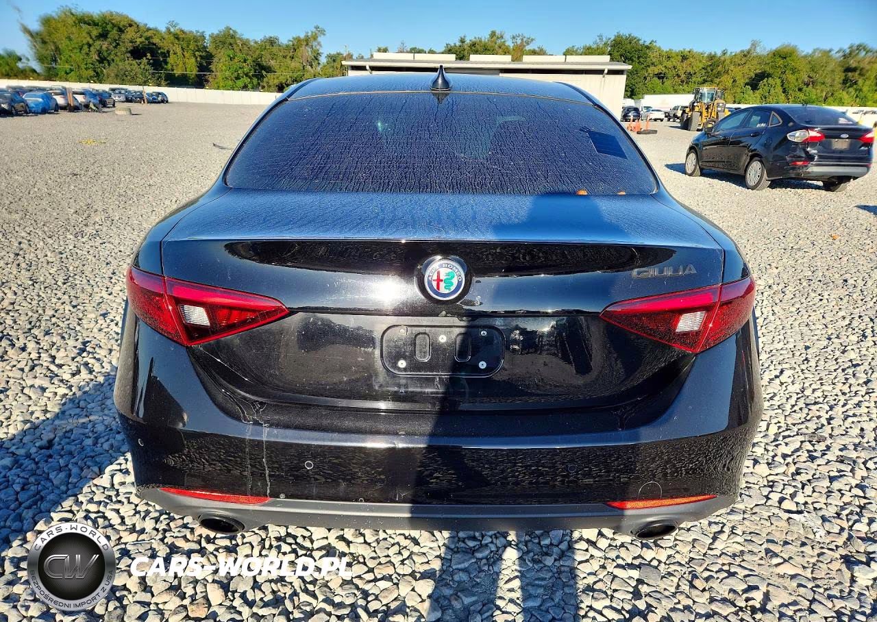 2020 Alfa Romeo Giulia VIN:ZARFAMAN7L7632312 - 6