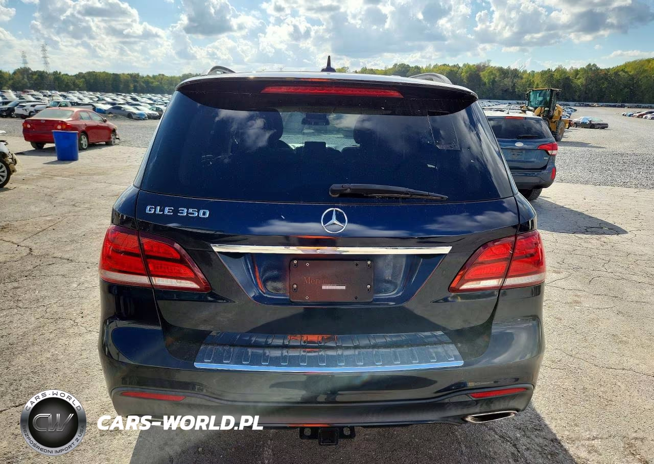 2016 Mercedes-Benz Gle 350 VIN:4JGDA5JB9GA811081 - 6